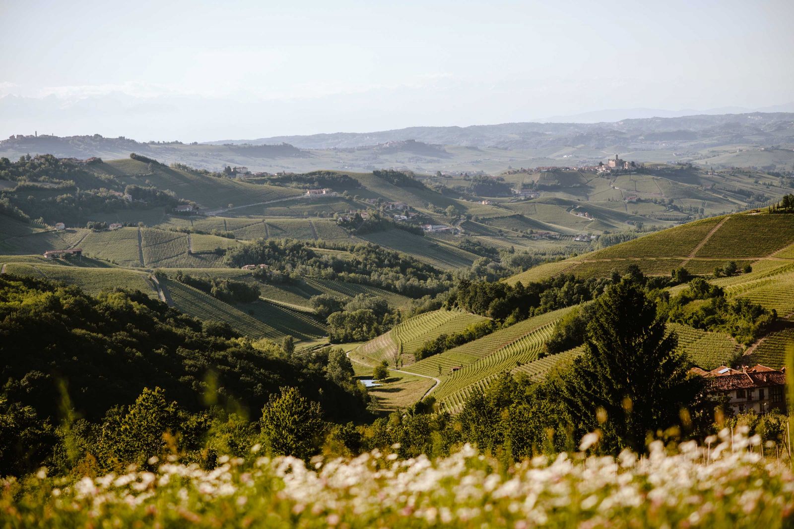Das 42 Hektar grosse Grundstück mit Weinbergen und Naturlandschaft vom «Casa di Langa» lädt zu Spaziergängen ein. Aus den umliegenden Gebieten, die zum UNESCO-Welterbe gehören, stammen einige der besten Weine und weisser Trüffel.